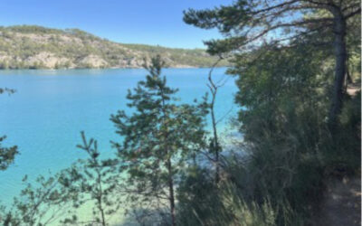 Une journée au Lac d’Esparron