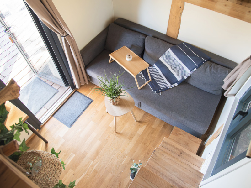 Salon moderne avec canapé gris et plante verte tiny salon 3 v2